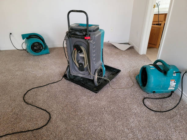 Best Water damage restoration experts  in Middlebush, NJ