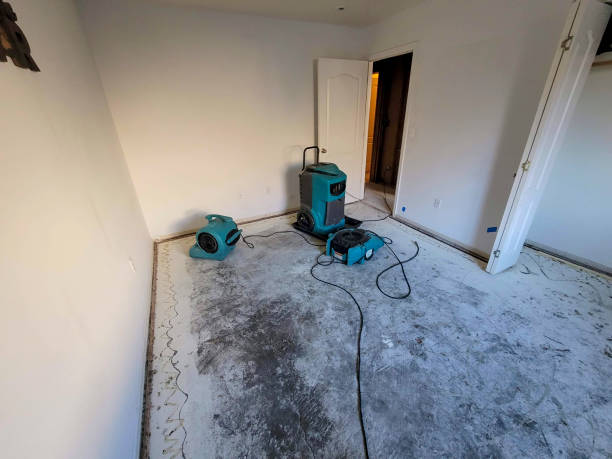 Best 24-hour water damage restoration  in Middlebush, NJ