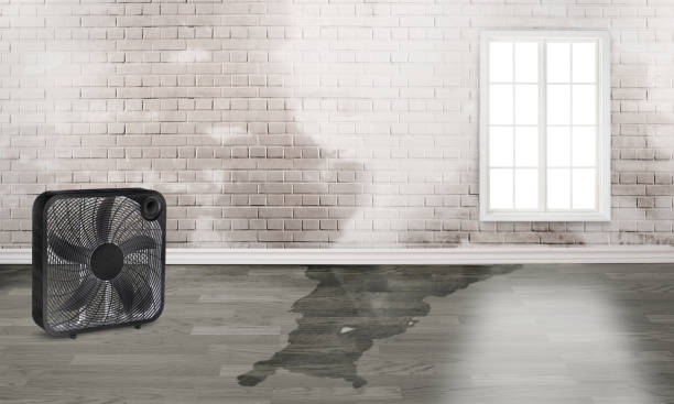 Best Residential water damage restoration  in Middlebush, NJ