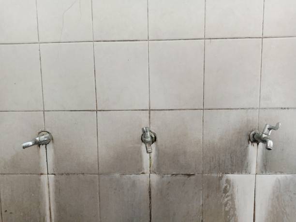 Best Water damage contractors near me  in Middlebush, NJ