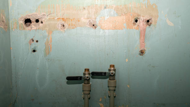 Best Flooded house restoration  in Middlebush, NJ