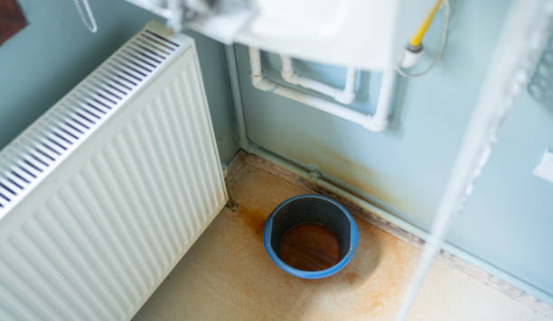 Best Water damage cleanup near me  in Middlebush, NJ