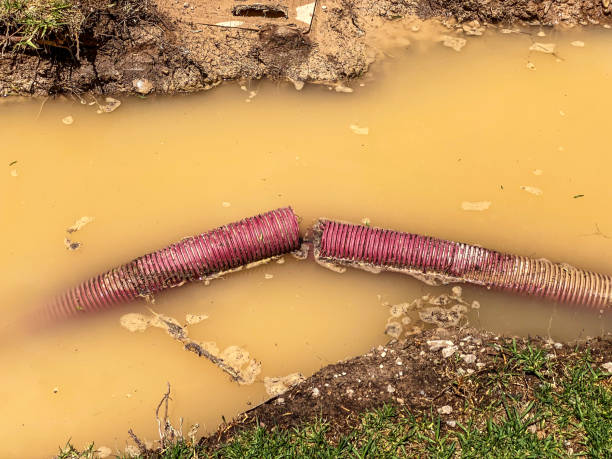 Best Water damage contractors near me  in Middlebush, NJ