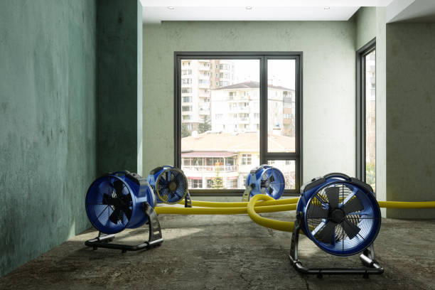 Best Commercial water damage restoration  in Middlebush, NJ