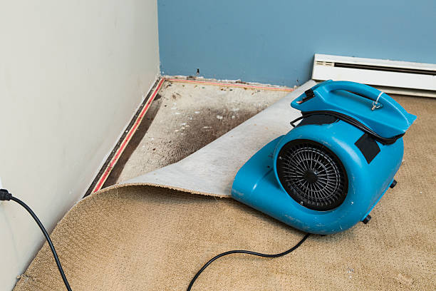  Middlebush, NJ Water damage restoration Pros