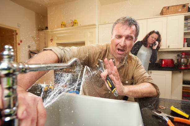 Best Carpet water damage restoration  in Middlebush, NJ